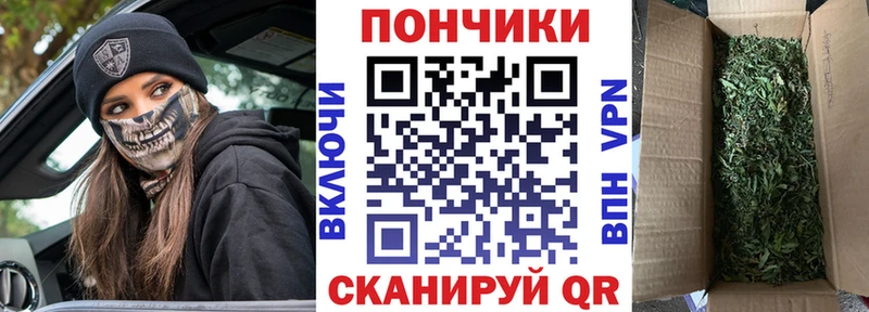 Купить где  Ленск  Канабис ГИДРОПОН 